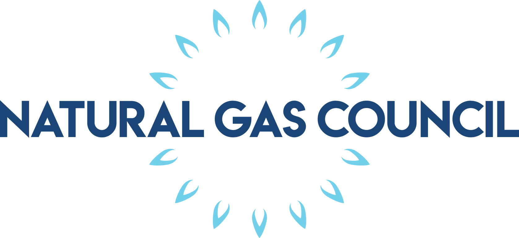 Natural Gas Council